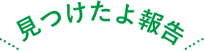 見つけたよ報告