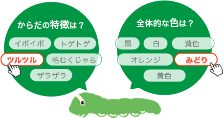 イモムシサガシステムは昆虫の特徴を絞り込んで種を特定します