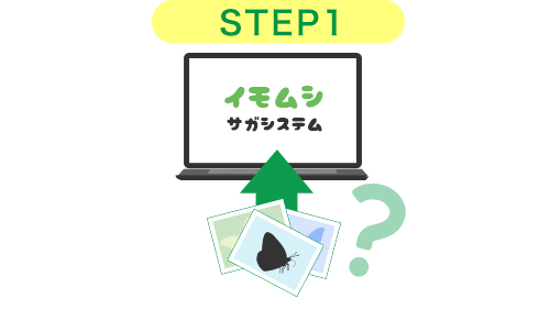 イモムシサガシステムに写真を投稿