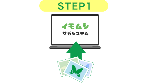 イモムシサガシステムに写真を投稿